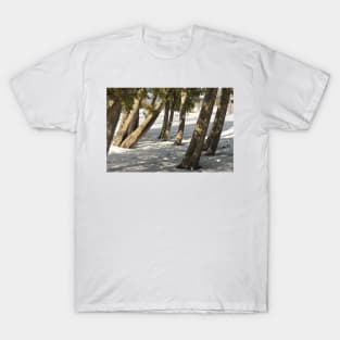 For The Love Of Trees - 1 © T-Shirt